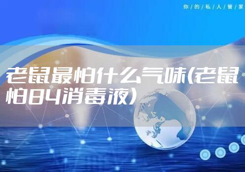 老鼠最怕什么气味(老鼠怕84消毒液)