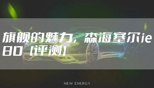 旗舰的魅力，森海塞尔ie80【评测】