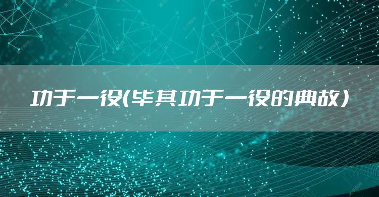 功于一役（毕其功于一役的典故）