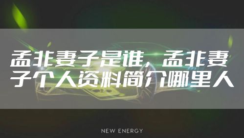 孟非妻子是谁，孟非妻子个人资料简介哪里人