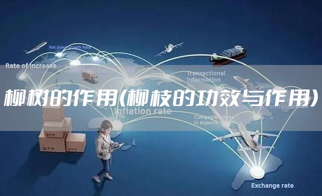 柳树的作用(柳枝的功效与作用)