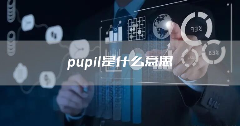 pupil是什么意思