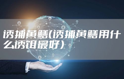 诱捕黄鳝（诱捕黄鳝用什么诱饵最好）