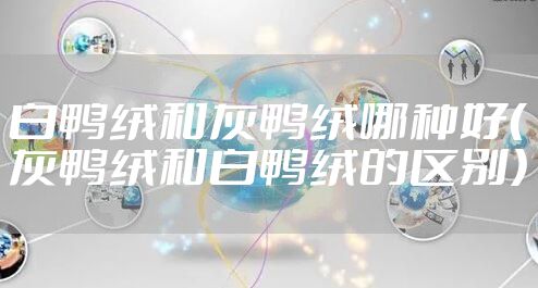 白鸭绒和灰鸭绒哪种好（灰鸭绒和白鸭绒的区别）