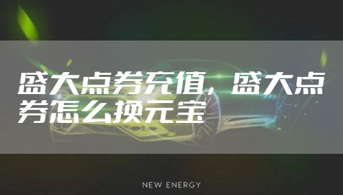 盛大点券充值，盛大点券怎么换元宝