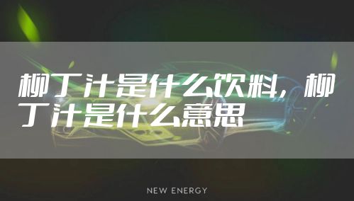 柳丁汁是什么饮料，柳丁汁是什么意思