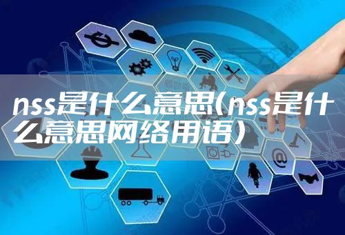 nss是什么意思（nss是什么意思网络用语）