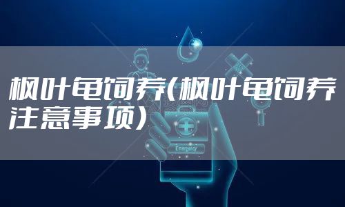 枫叶龟饲养（枫叶龟饲养注意事项）