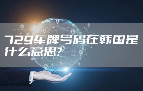 729车牌号码在韩国是什么意思？