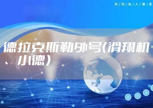 德拉克斯勒外号（滑翔机、小德）