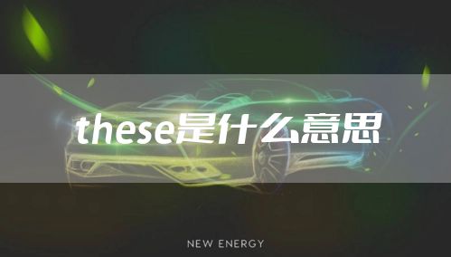 these是什么意思