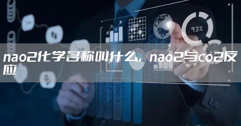 nao2化学名称叫什么，nao2与co2反应