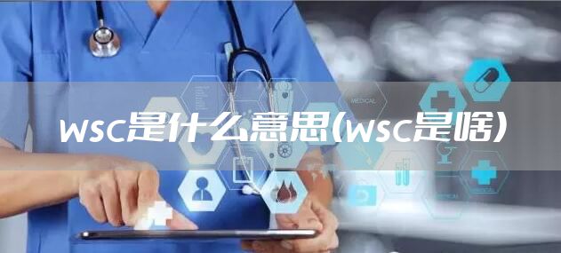wsc是什么意思(wsc是啥)