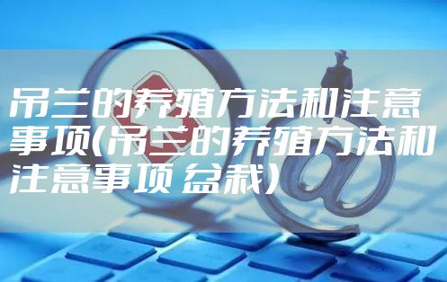 吊兰的养殖方法和注意事项（吊兰的养殖方法和注意事项 盆栽）