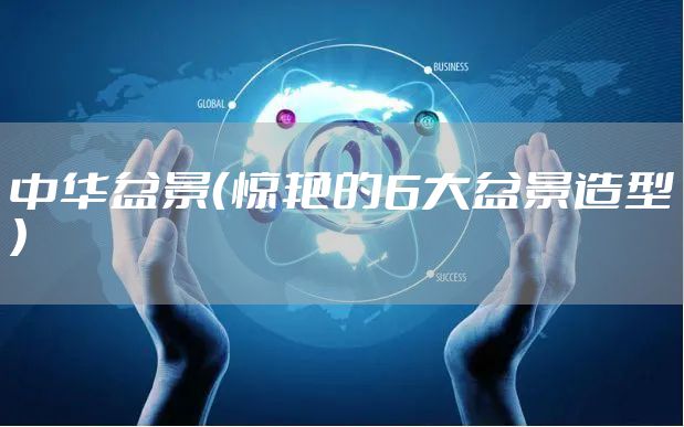 中华盆景（惊艳的6大盆景造型）