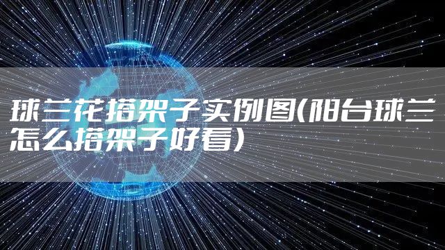 球兰花搭架子实例图(阳台球兰怎么搭架子好看)