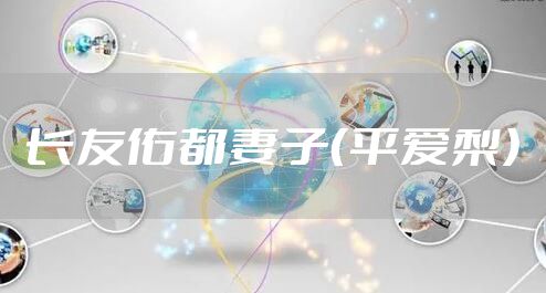 长友佑都妻子（平爱梨）