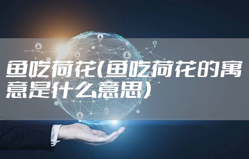 鱼吃荷花（鱼吃荷花的寓意是什么意思）