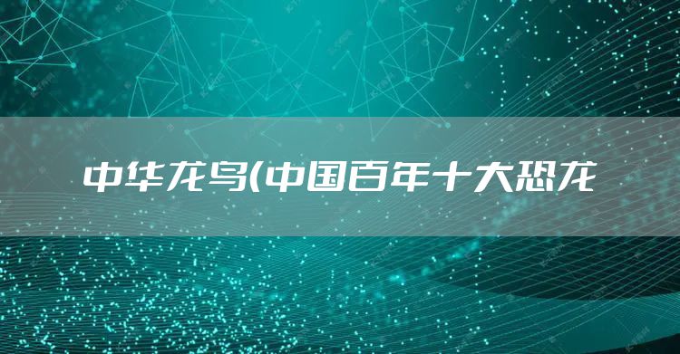 中华龙鸟（中国百年十大恐龙