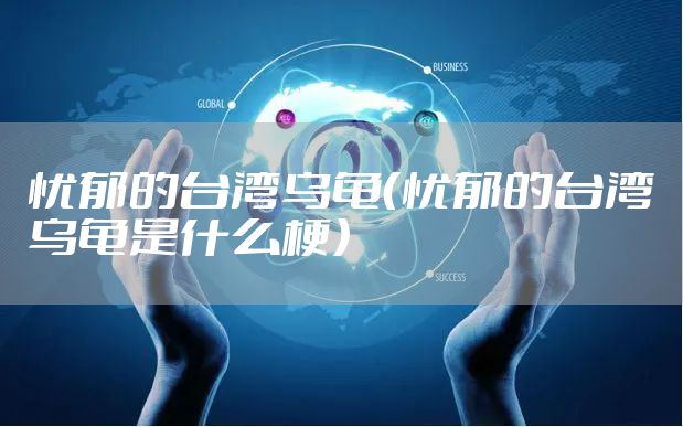 忧郁的台湾乌龟（忧郁的台湾乌龟是什么梗）