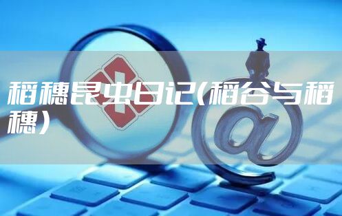 稻穗昆虫日记（稻谷与稻穗）