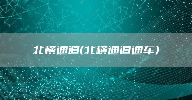 北横通道（北横通道通车）