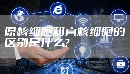 原核细胞和真核细胞的区别是什么？