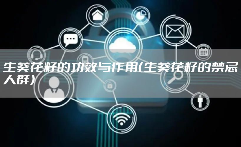 生葵花籽的功效与作用（生葵花籽的禁忌人群）