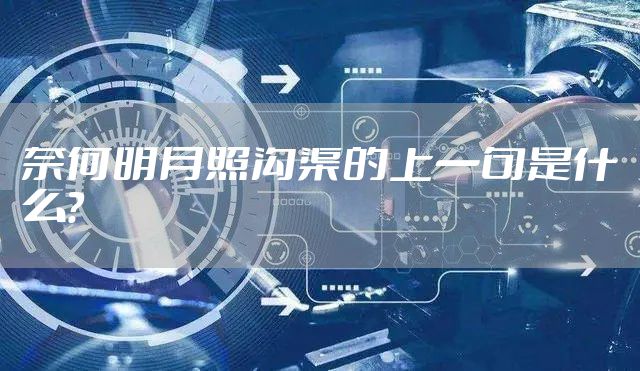 奈何明月照沟渠的上一句是什么？