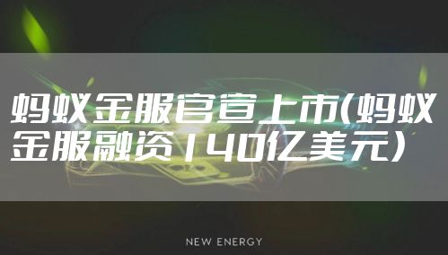 蚂蚁金服官宣上市(蚂蚁金服融资140亿美元)