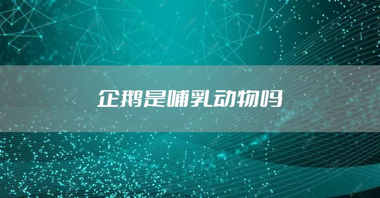 企鹅是哺乳动物吗