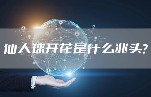 仙人球开花是什么兆头？