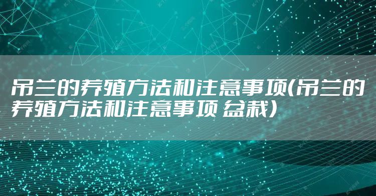吊兰的养殖方法和注意事项（吊兰的养殖方法和注意事项 盆栽）