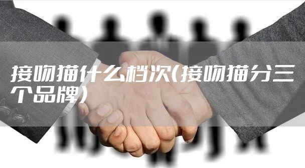 接吻猫什么档次（接吻猫分三个品牌）