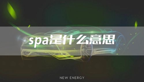 spa是什么意思