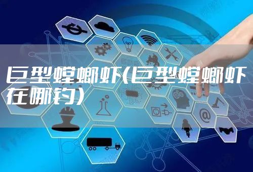 巨型螳螂虾（巨型螳螂虾在哪钓）