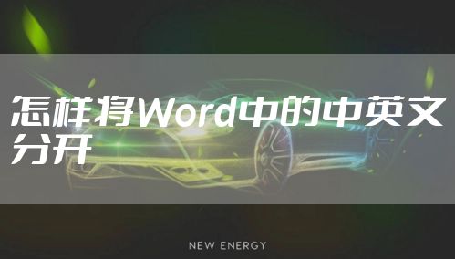 怎样将Word中的中英文分开
