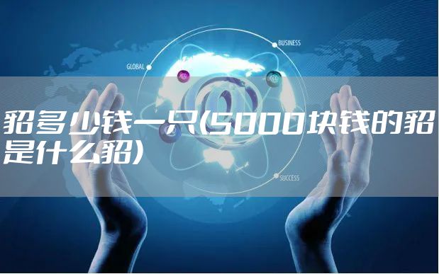 貂多少钱一只(5000块钱的貂是什么貂)