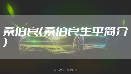 桑伯良(桑伯良生平简介)