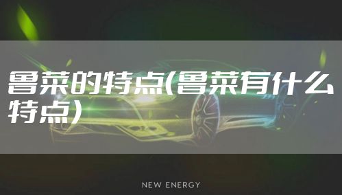 鲁菜的特点（鲁菜有什么特点）