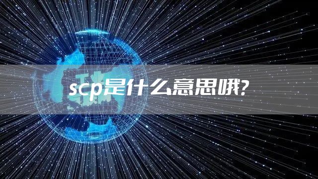 scp是什么意思哦?
