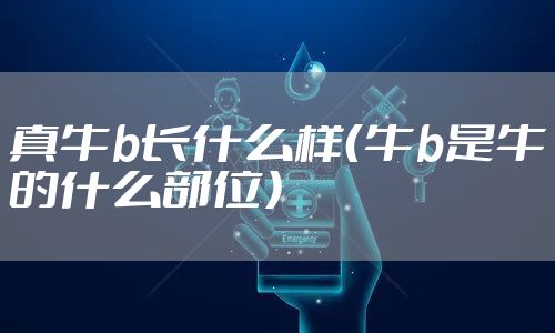 真牛b长什么样（牛b是牛的什么部位）