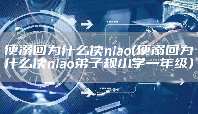 便溺回为什么读niao（便溺回为什么读niao弟子规小学一年级）