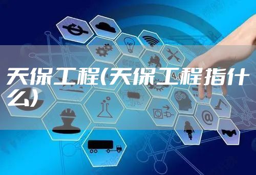 天保工程（天保工程指什么）