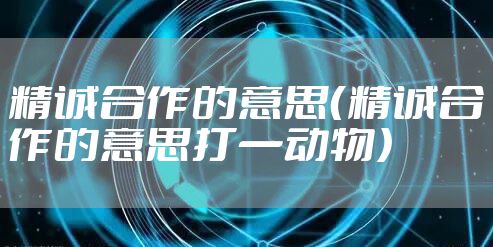 精诚合作的意思（精诚合作的意思打一动物）