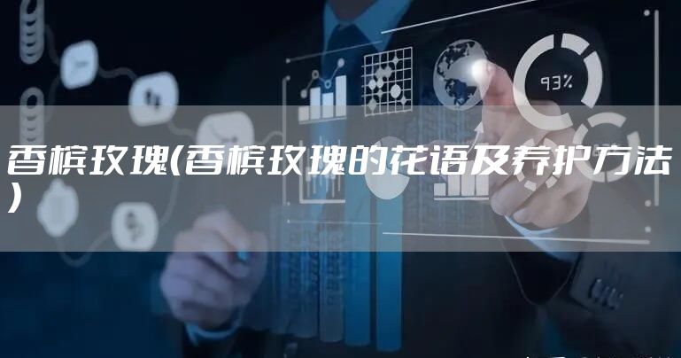 香槟玫瑰（香槟玫瑰的花语及养护方法）