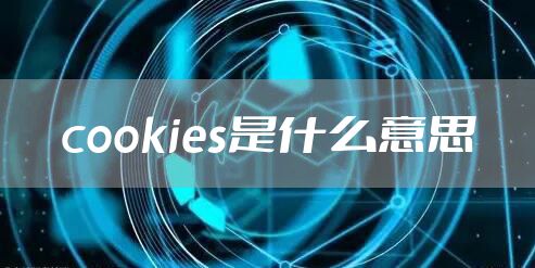 cookies是什么意思