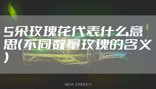 5朵玫瑰花代表什么意思(不同数量玫瑰的含义)