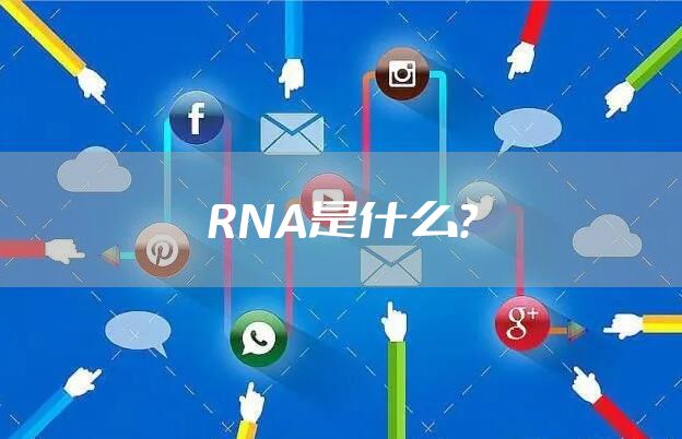 RNA是什么？