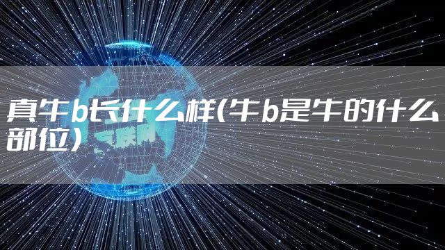 真牛b长什么样(牛b是牛的什么部位)